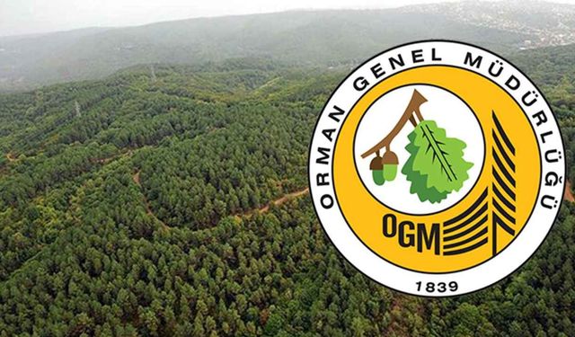 Orman Genel Müdürlüğü 64 İşçi Alımı Yapacak
