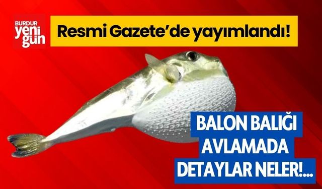 Resmi Gazete’de yayımlandı! Balon balığı avlamada detaylar neler....