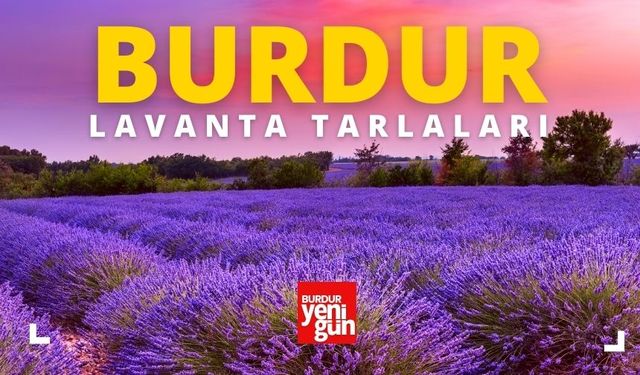 Burdur'daki Lavanta Tarlalarını Gezmek: Doğanın Renkli Büyüsüne Kapılın!