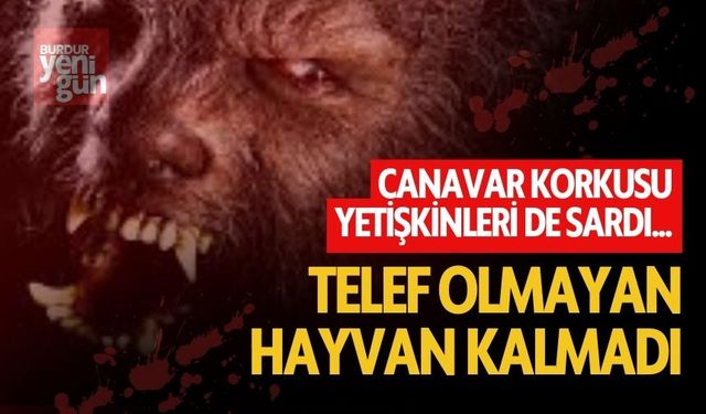 Köylülerin Korkulu Rüyası... Telef Olmayan Hayvan Kalmadı