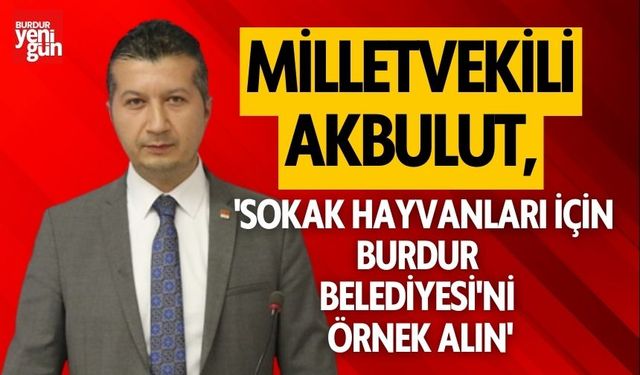 Milletvekili Akbulut: 'Sokak Hayvanları İçin Burdur Belediyesi'ni  Örnek Alın''