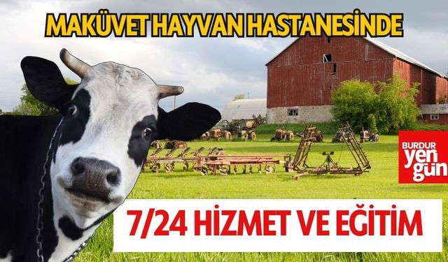 MAKÜVET Hayvan Hastanesi: 7/24 Hizmet ve Eğitim Fırsatları!