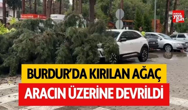 Burdur'da fırtınada kırılan ağaç aracın üzerine devrildi