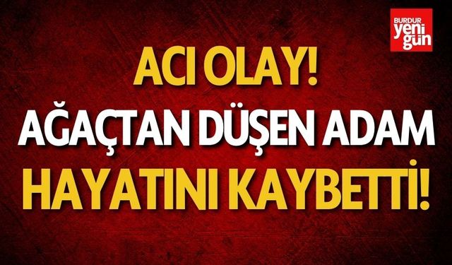 Acı olay! Ağaçtan düşen adam hayatını kaybetti!