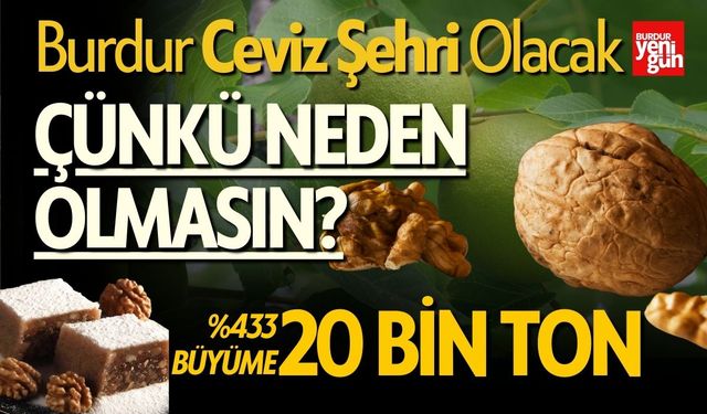 Burdur Ceviz Şehri Olacak %433 Büyüme