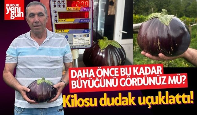 Emekli Memur Hobi Bahçesinde Yetiştirdi! İşte Organik Dev Patlıcan