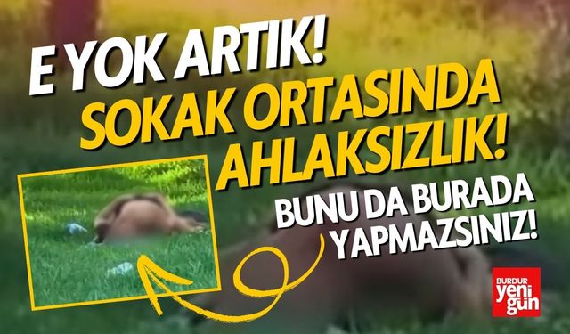 Yok Artık! Bunu da Burada Yapmazsınız!