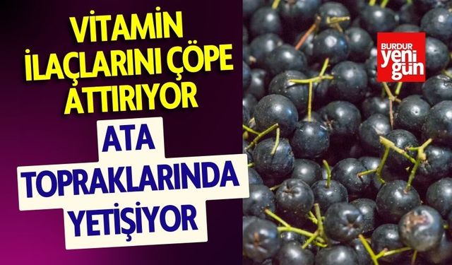 Ata Topraklarında Yetişiyor Vitamin İlaçlarını Çöpe Attırıyor