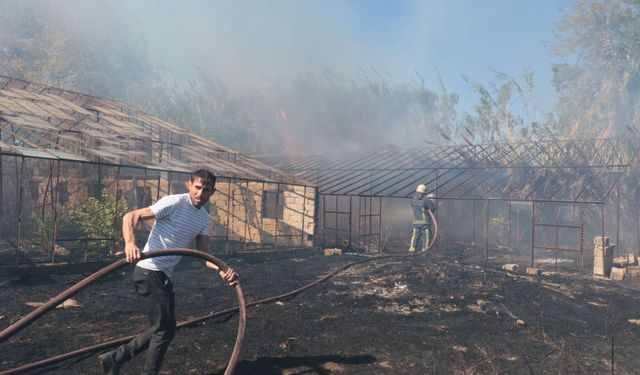 Antalya’da Korkutan Yangın! 3 Sera Zarar Gördü, Evler Tehlikede