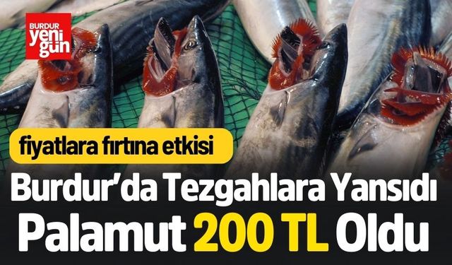 Fırtına Çıktı! Burdur'da Palamut 200 TL Oldu