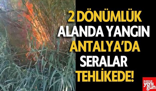 Antalya'da Serik’teki Yangın Kontrol Altına Alındı