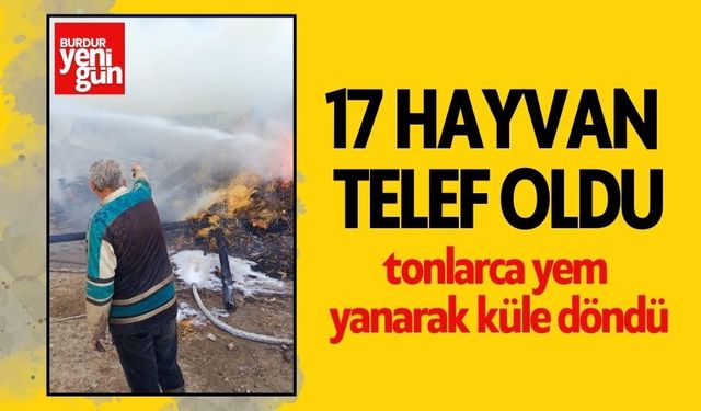 Komşuda Tonlarca Yem ve 17 Hayvan Telef Oldu