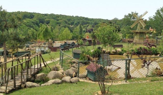 İstanbul'un Kalabalıktan Uzak Keşif Noktaları