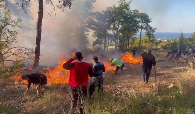 Antalya'da Ormana Düşen Hava Aracı! Panik Anları