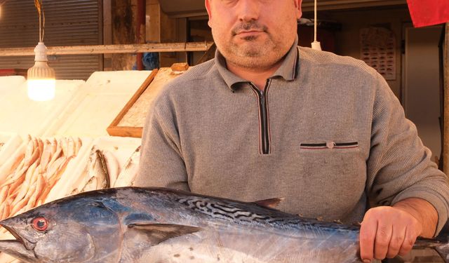 Mersin’de 18 Kilo Torik Balığı Rekor Fiyata Satıldı!