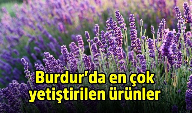 Burdur’da en çok yetiştirilen ürünler