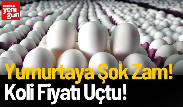 Yumurtaya Peş Peşe Zam Geldi: Koli Fiyatı Ne Oldu?