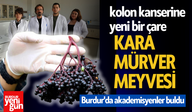 Dünyada en çok görülen kanserlerden kolon kanserine yeni bir çare: Kara mürver meyvesi