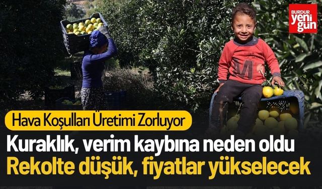 Kuraklık verim kaybına neden oldu, fiyatlar yükselecek