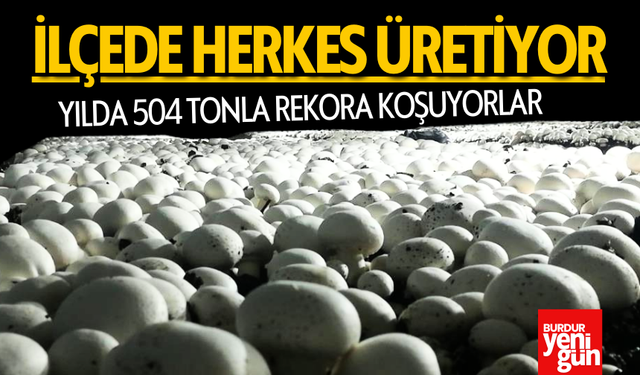 İlçede Herkes Üretiyor: Yılda 504 ton Yetiştiyorlar!