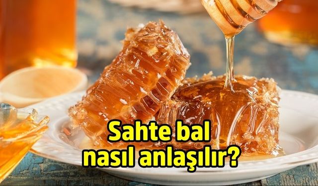 Gerçek Bal mı, Sahte Bal mı? Bu Basit Testlerle Anlayın