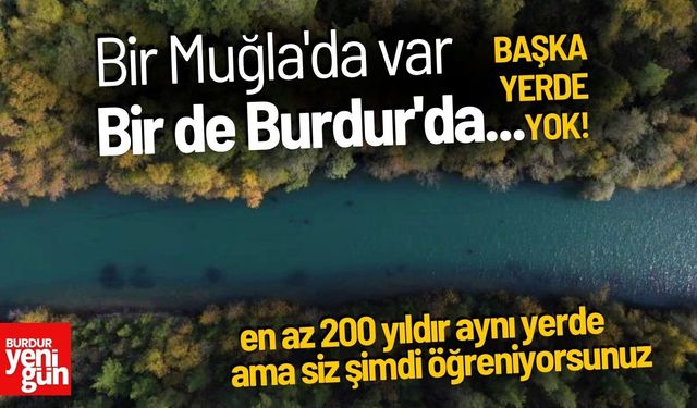 Bir Muğla'da Bir Burdur'da Görürsünüz... En Yaşlısı 200 Yaşında