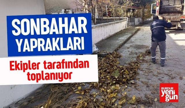 Burdur Belediyesi’nden Sonbahar Operasyonu