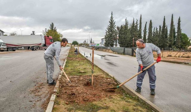 Kepez tarihi mirasıyla yeşilleniyor