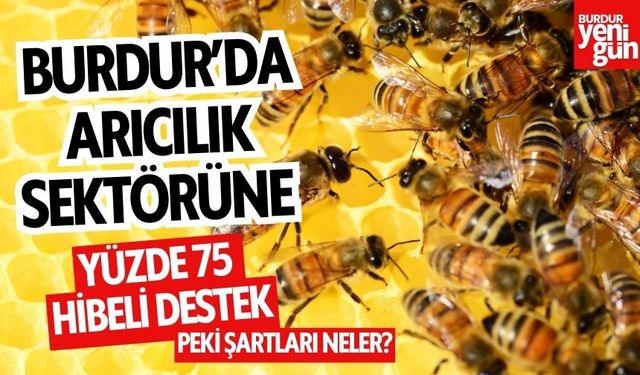 Burdur’da Arıcılık Sektörüne %75 Hibeli Destek