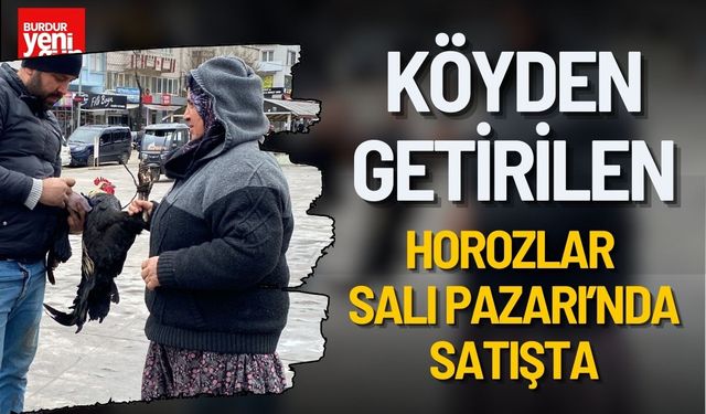 Burdur Salı Pazarı’nda Horoz Fiyatları Gündem Oldu