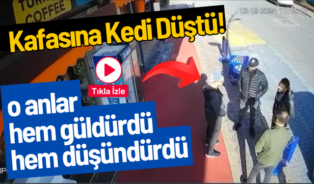 Kaldırımda sohbet eden gencin kafasına kedi düştü