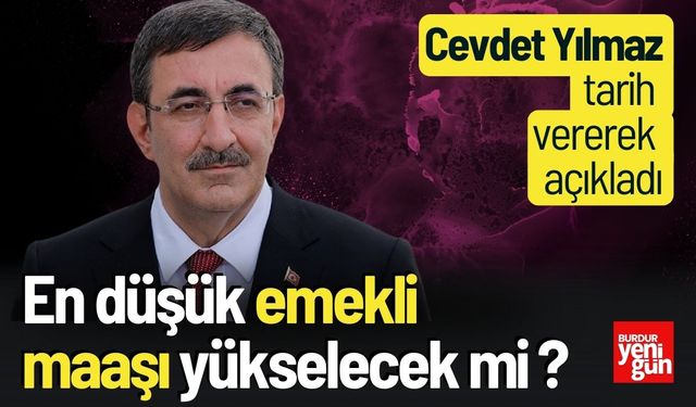 Cumhurbaşkanı Yardımcısı’ndan Emekli Maaşı Açıklaması