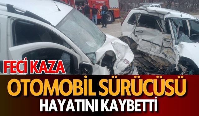 Feci Kaza: Otomobil Sürücüsü Hayatını Kaybetti!