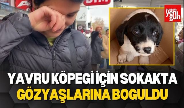 Yavru Köpeği İçin Sokakta Gözyaşlarına Boğuldu