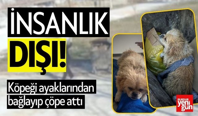 Vicdansızlık! Köpeği Çöp Konteynerine Attı