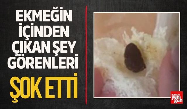 Ekmeğin İçinden Çıkan Şey Görenleri Şaşırttı