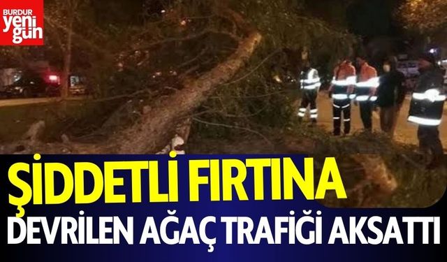 Şiddetli Fırtına: Devrilen Ağaç Trafiği Aksattı