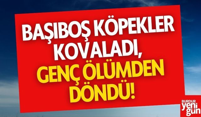 Başıboş Köpekler Kovaladı, Genç Ölümden Döndü!