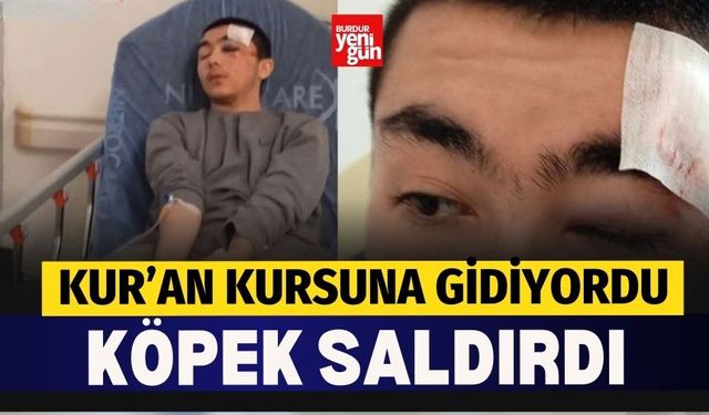 Kur’an Kursuna Giden Gence Köpek Saldırdı