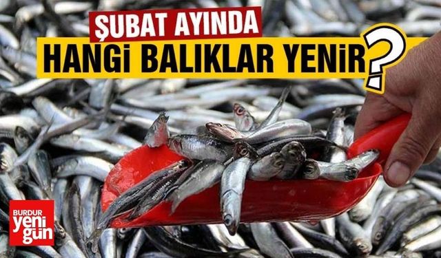 Şubat Ayında Hangi Balıklar Yenir?