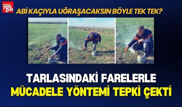 Tarlasındaki Farelerle Mücadele Yöntemi Tepki Çekti