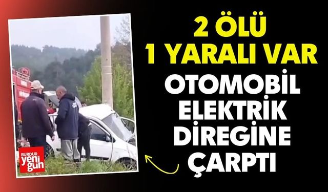Otomobil Elektrik Direğine Çarptı