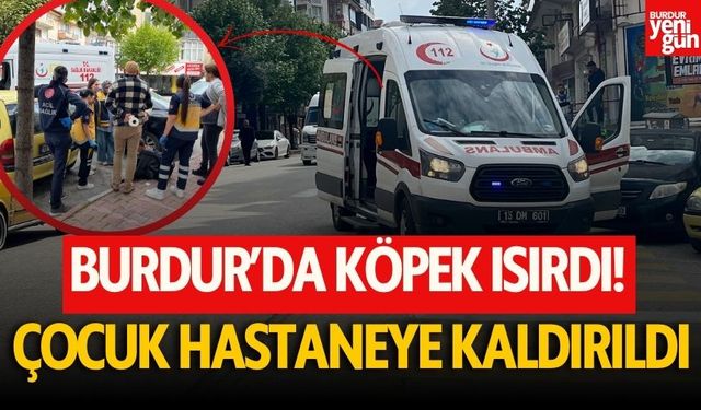 Burdur’da Küçük Çocuğu Köpek Isırdı, Hastaneye Kaldırıldı