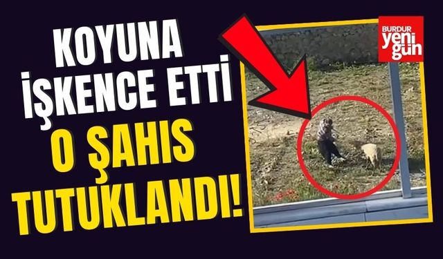 Koyuna İşkence Etti! O Şahıs Tutuklandı