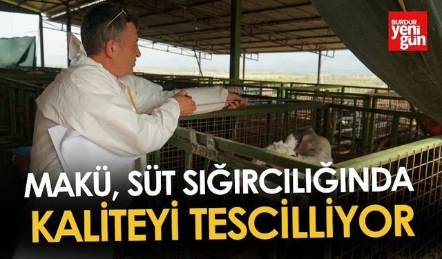 MAKÜ, Süt Sığırcılığında Kaliteyi Tescilliyor