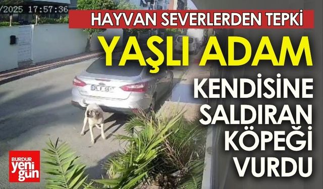 Yaşlı adam kendisine saldıran köpeği vurdu