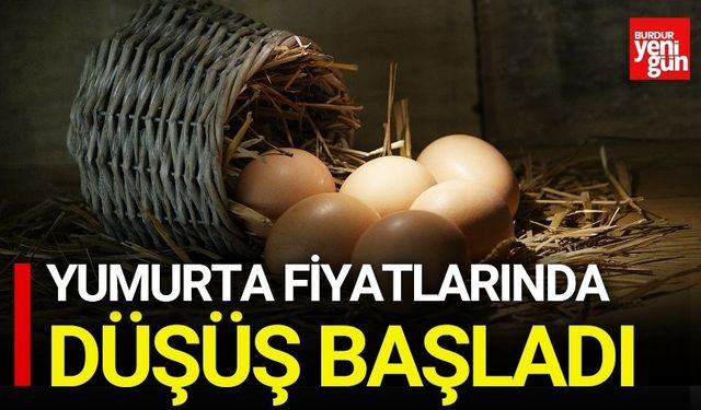 Yumurta Fiyatlarında Düşüş Başladı
