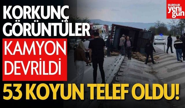 Devrilen Kamyondan 53 Koyun Telef Oldu