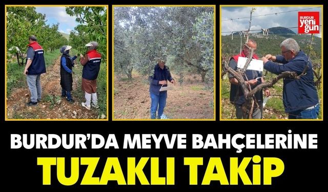 Burdur’da Meyve Bahçelerine Tuzaklı Takip