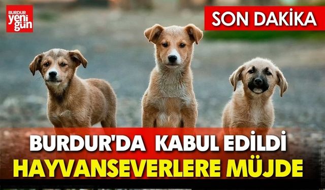 Burdur'da  Hayvanseverlere Müjde